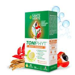 Toniphyt Boost Énergie Citron vert Menthe Santé Verte